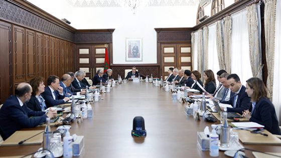 الأسماء التي عينها المجلس الحكومي بالمناصب العليا