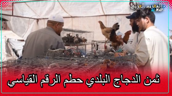 شوف ثمن الدجاج البلدي فين وصل..وكلشي مكره