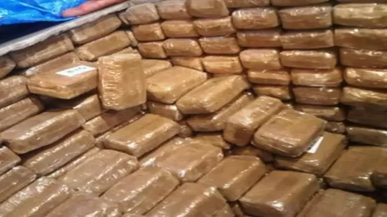 إجهاض عملية تهريب 830 كيلوغراما من مخدر الشيرا