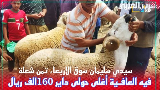 سيدي سليمان سوق الاربعاء الثمن شاعلة فيه العافـية أغلى حولى داير 160الف ريال