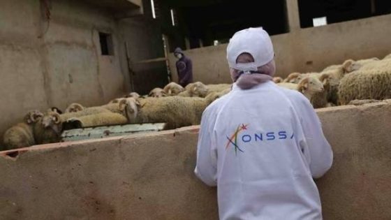 ضبط عدد كبيرمن التلاعبات فيما يخص الأعلاف المقدمة للأغنام