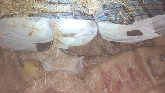 إحباط عملية تهريب مخدرات في مير اللفت