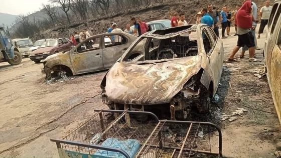 34 قتيلاً وألاف المفقودين والمشردين بسبب الحرائق بالجزائر