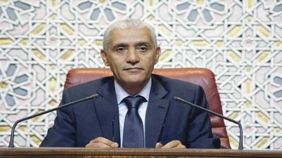 الطالبي العلمي يسلط الضوء على النموذج التنموي للمملكة