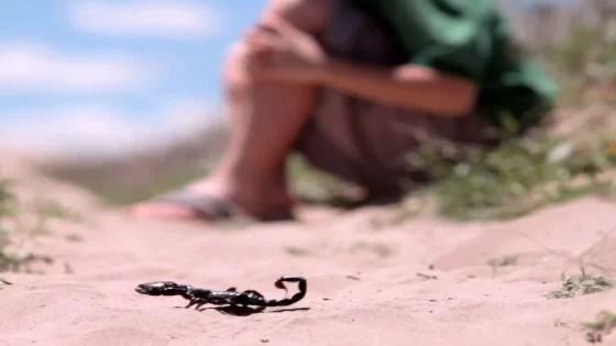 عصبة حقوقية تنتقد قطاع الصحة في تاونات