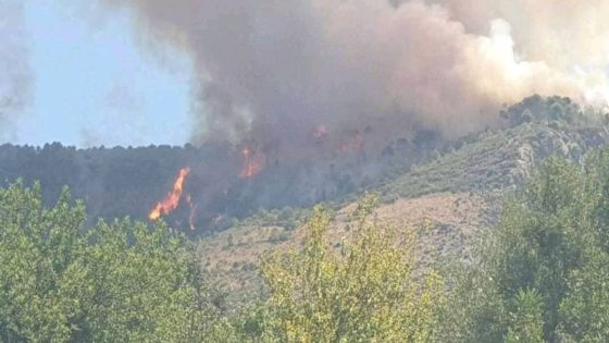 حريق يلتهم 14 هكتارا من الغطاء الغابوي باقليم تاونات