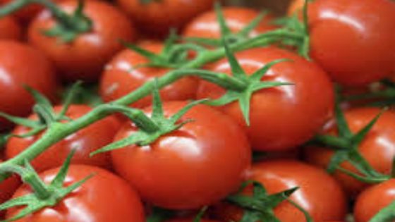 ارتفاع أسعار الطماطم في الاسواق لهذا السبب..