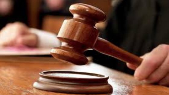 تقرير محاكم المالية: إصدار 132 حكما في التأديب المالي وتحليل مخالفات الميزانية خلال 2022-2023