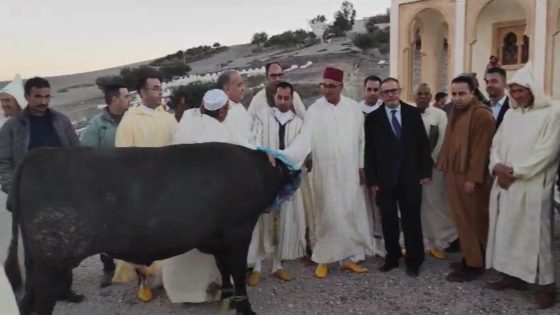 حفل ديني متميز بضريح الولي الصالح سيدي امحمد بلحسن دفين الزاوية الجناتية بتيسة بإقليم تاونات