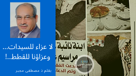 لا عزاء للسيدات… وعزاؤنا للقطط..!