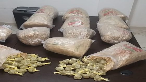 بناءا على معلومات وأوصاف خاصة بمروج للمخدرات، أمن تازة أوقف شخصا وبحوزته 16 كلغ من مخدر الكيف.
