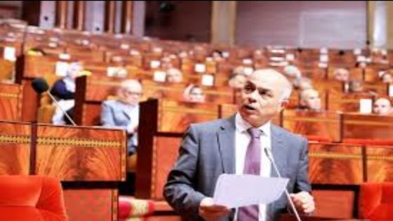 تعميم الأمازيغية في التعليم بالمغرب: خطوات وتحديات