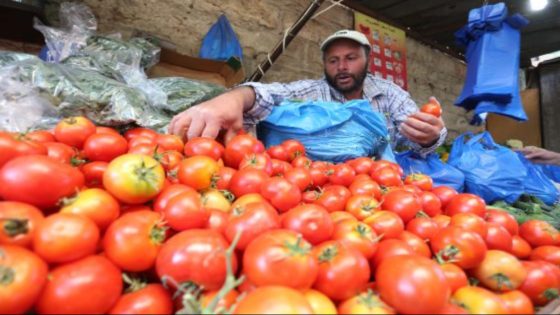 تراجع ملفت في أسعار الطماطم بفعل قرار موريتانيا المفاجئ!