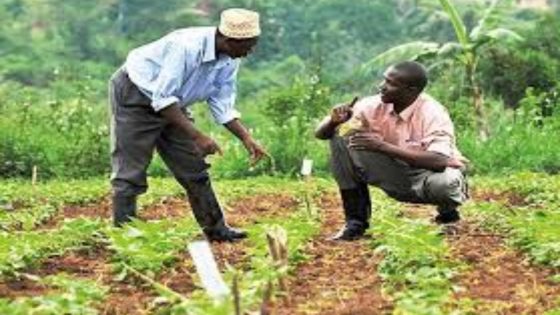 دعوة للدعم المالي وتحسين حقوق الفلاحين والشغيلة