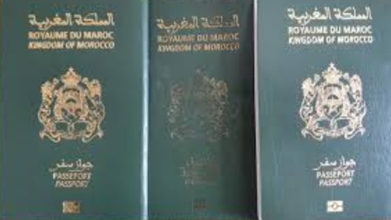 طارق حنيش يطالب بتمديد مدة صلاحية جواز السفر المغربي إلى 10 سنوات