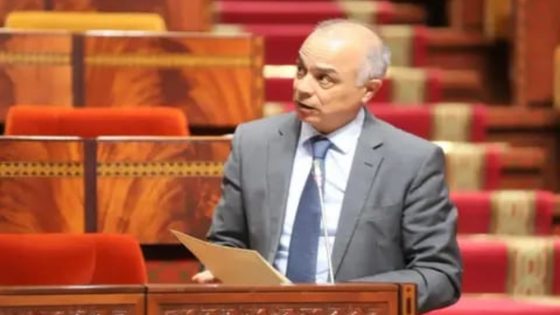 إقرار قانون جديد لإنهاء ملف المتعاقدين في التعليم وتحسين وضعيتهم الوظيفية في المغرب