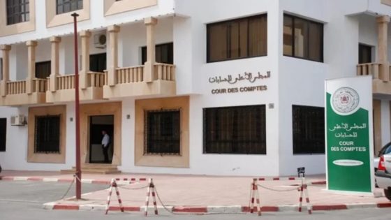 متابعة مجالس الحسابات لممتلكات 30 ألف منتخب وضمان التزامهم بالإقرار القانوني