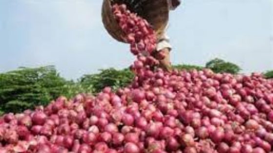 المغرب يحظر تصدير البصل والبطاطس في رمضان