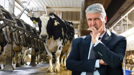 شكوى ضد برلمانيين بتهمة اختلاس أموال جمعية مربي الماشية بتادلة أزيلال