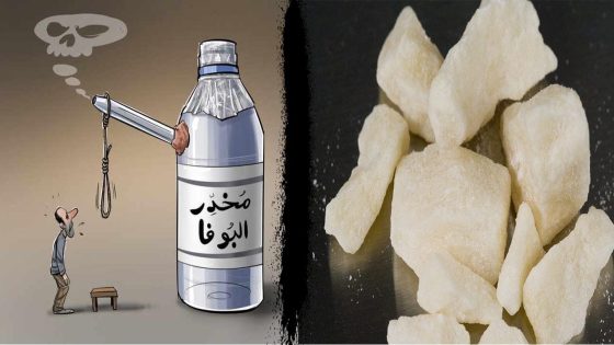 المحمدية و البوفا qui bouffe tout