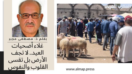 غلاء أضحيات العيد.. لا تجف الأرض بل تقسى القلوب والنفوس