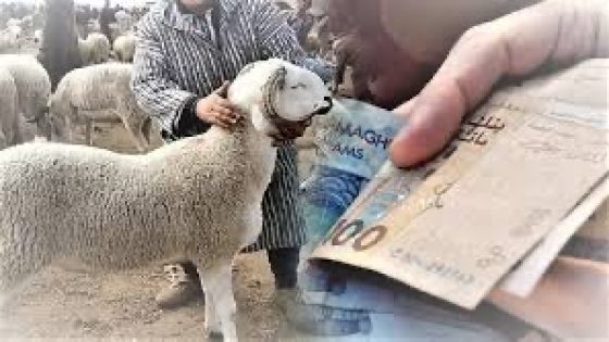 نصف الأسر المغربية عجزت عن شراء أضحية العيد بسبب الغلاء الفاحش