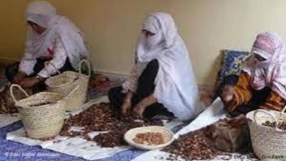 إطلاق الدورة الخامسة لبرنامج “مؤازرة” لدعم مشاريع الاقتصاد الاجتماعي والتضامني