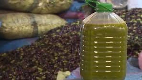 زيت الزيتون وشائعات حول ارتفاع الأسعار والسماسرة في دائرة الاتهام