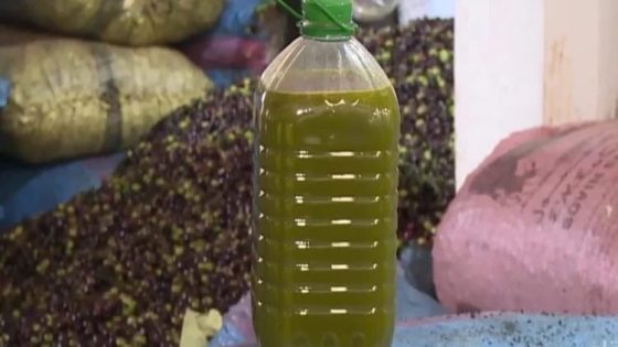 الحكومة المغربية تتخذ هذا القرار لضبط أسعار زيت الزيتون وسط أزمة الجفاف