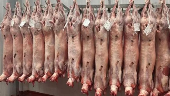 انخفاض أسعار اللحوم الحمراء مع تدفق اللحوم المستوردة يغير معادلة السوق المغربية