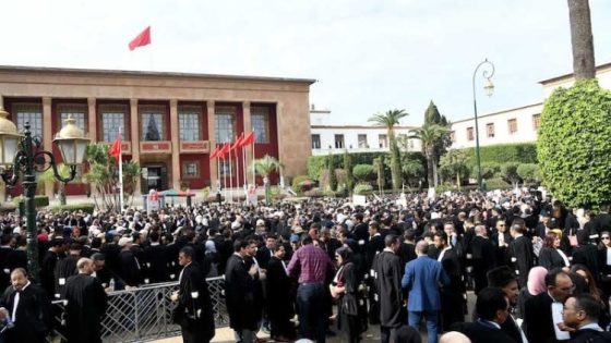 إضراب المحامين.. من حماية الحقوق إلى تعطيل العدالة