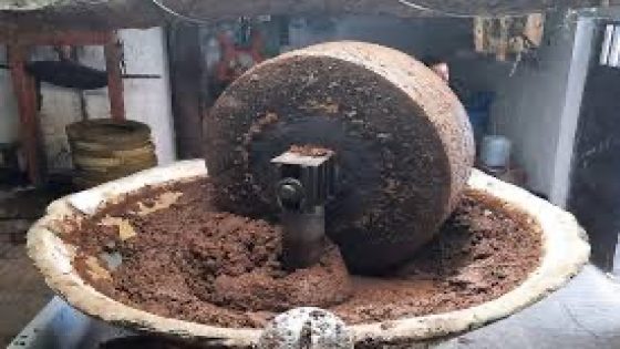 إغلاق عشر معاصر للزيتون بتاونات لحماية الموارد المائية من أضرار المرج