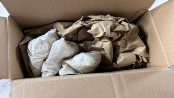 الحكومة تتجه لمكافحة وضع “الملح” في الطرود وتدعم دور البريد في التوصيل العام