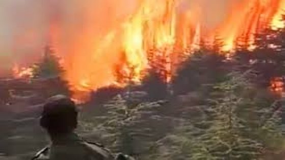 حريق ضخم يلتهم غابة موكلاتة في تطوان ويخلف دمارا كبيرا