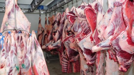 استيراد اللحوم الحمراء.. هل ينعكس على أسعار السوق؟