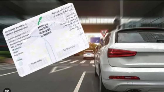 معلومات جديدة حول تأخير إنجاز البطائق الرمادية وسبل المعالجة