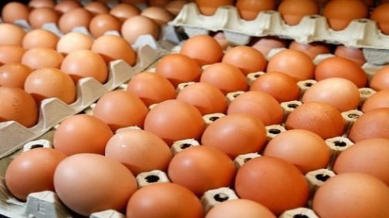 ارتفاع أسعار البيض يشعل استياء المغاربة