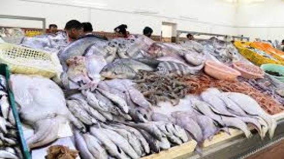 هل حقا الجفاف هو السبب؟ أسرار ارتفاع أسعار السمك في المغرب
