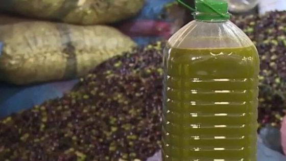 المغرب يلجأ إلى الاستيراد لضمان توافر زيت الزيتون في الأسواق