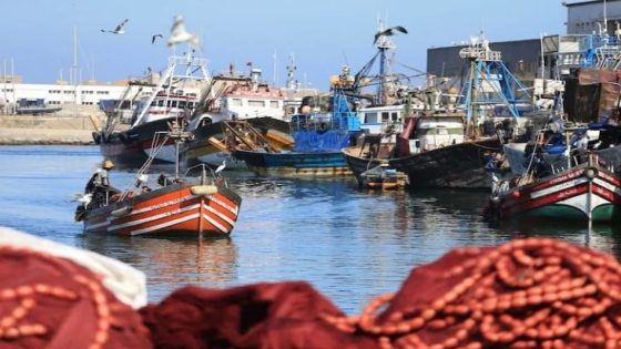 صدمة في أوساط بحارة الجنوب بعد عودة مراكب الصيد دون سردين