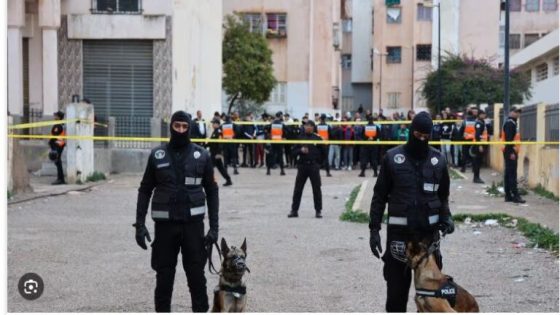 المغرب ينجح في إحباط مخطط إرهابي ويوقف 12 شخصًا في 9 مدن