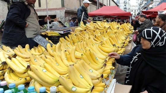 الموز يتحول إلى قضية أمنية في الجزائر بسبب تلاعبات بارونات الاستيراد