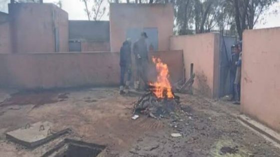 حرق لحوم “النعجات” في الجديدة… قرار صارم لحماية الثروة الحيوانية