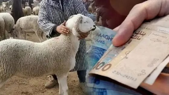 الشناقة يحققون أرباحًا ضخمة بينما المواطن المغربي يعاني: أين تذهب الأموال؟