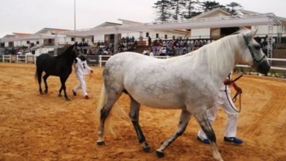 إدانات ثقيلة لمسؤولين أمنيين في قضية استيراد خيول مريضة بصفقات مشبوهة