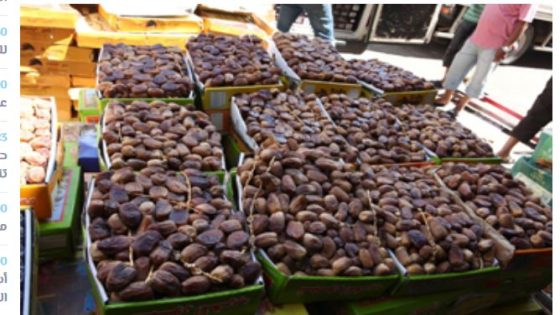 إحباط محاولة ترويج تمور فاسدة بأسواق خنيفرة