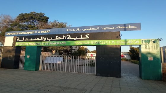 كلية الطب بالرباط تثير الجدل بصفقة لاقتناء 40 خنزيرا للأبحاث العلمية