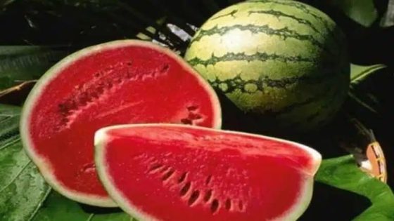 “الدلاح يغلي قبل وقته: الأسعار تسبق الموسم وتحرق جيوب المغاربة”