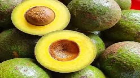 ضبط شحنة أفوكادو مستوردة تحتوي على مواد محظورة في الدار البيضاء