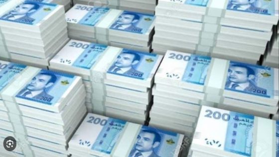 حسابات سرية وعقارات بالخارج… فضيحة تهز مسؤولين يحملون جنسيات أجنبية